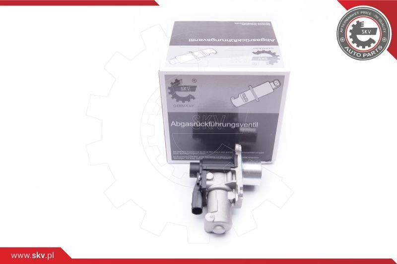 ESEN SKV EGR ventil