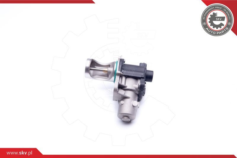 ESEN SKV EGR ventil
