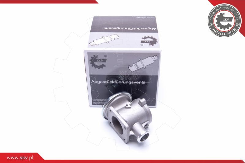 ESEN SKV AGR-ventil