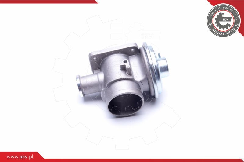 ESEN SKV AGR-ventil