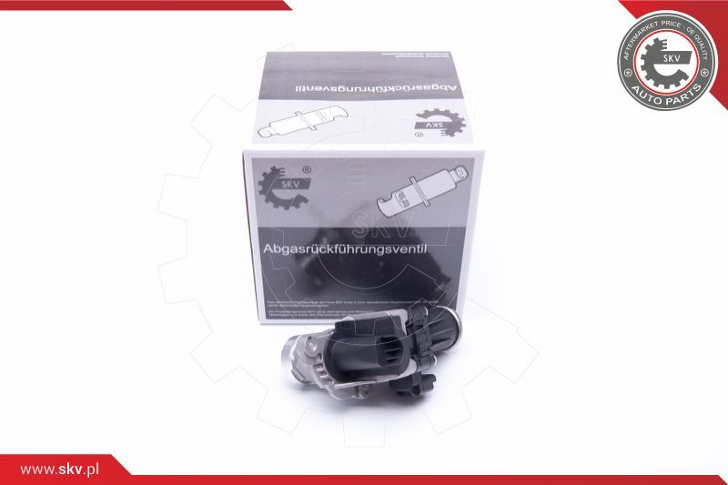 ESEN SKV AGR-ventil