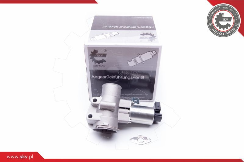 ESEN SKV EGR ventil