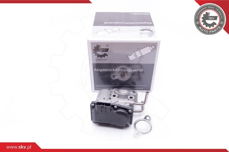 ESEN SKV AGR-ventil
