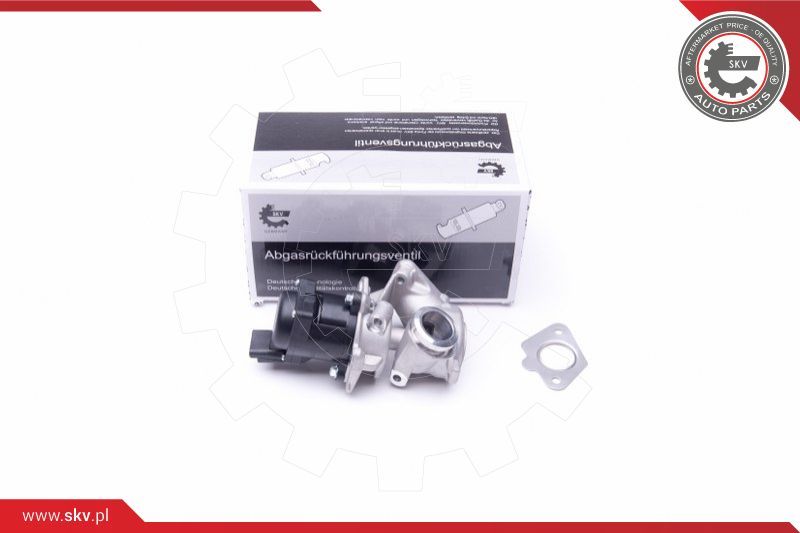 ESEN SKV AGR-ventil