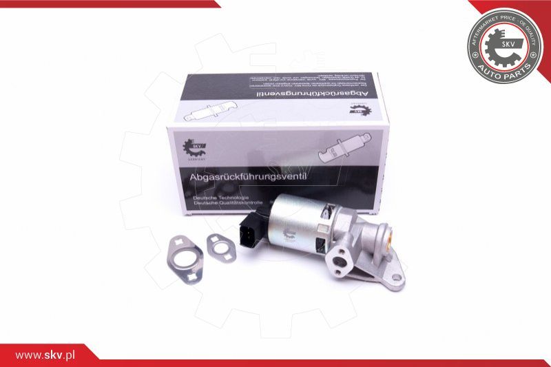 ESEN SKV EGR ventil