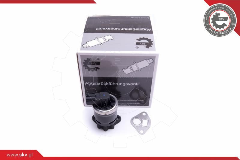 ESEN SKV AGR-ventil