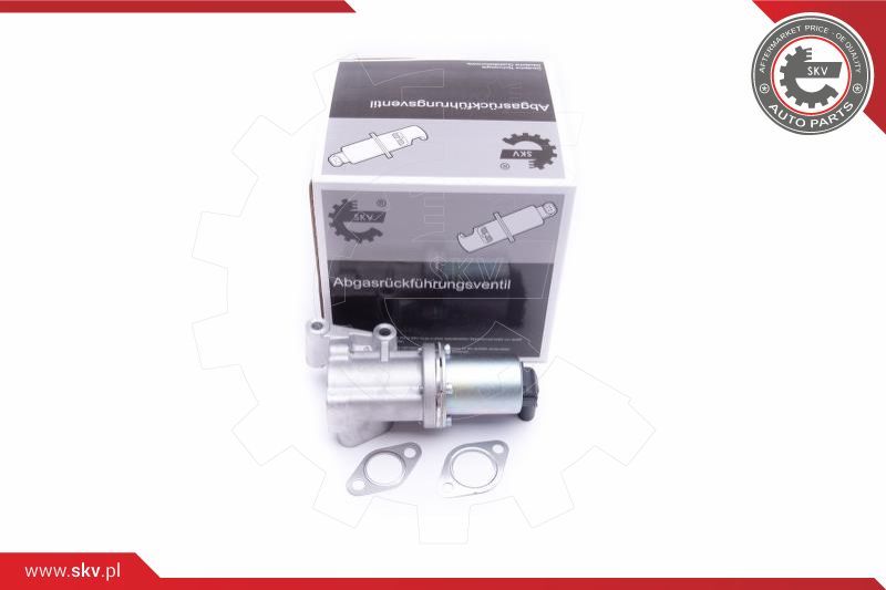 ESEN SKV AGR-ventil