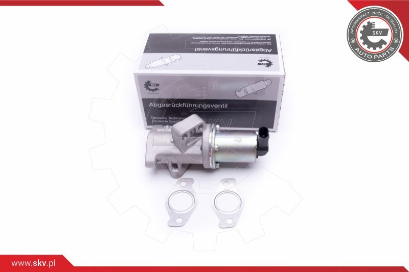 ESEN SKV EGR ventil