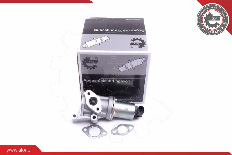 ESEN SKV AGR-ventil