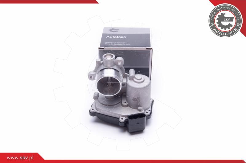 ESEN SKV EGR ventil