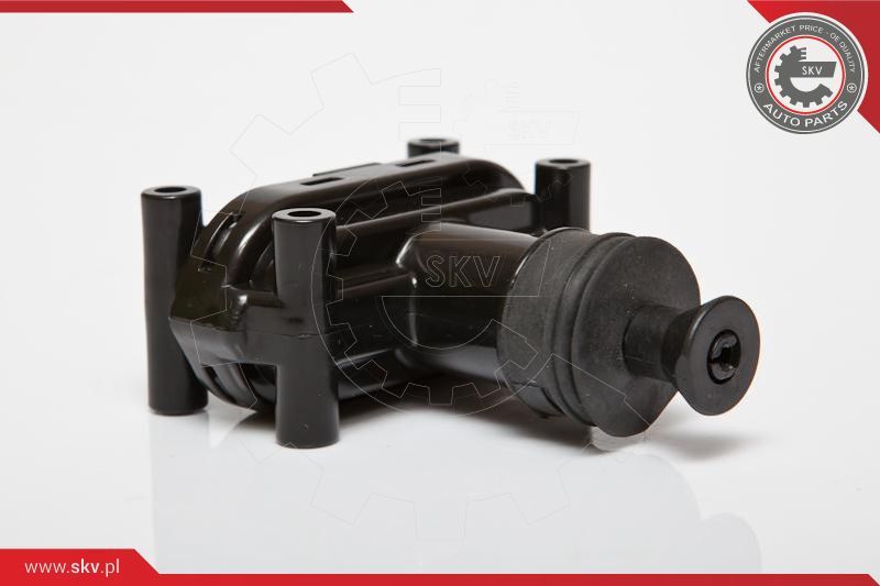 ESEN SKV Brava vrata