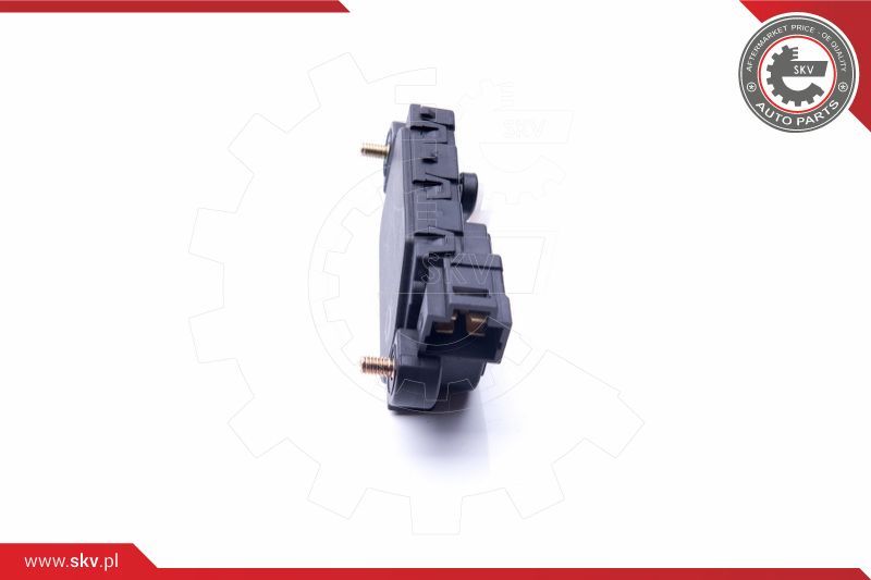 ESEN SKV Brava vrata