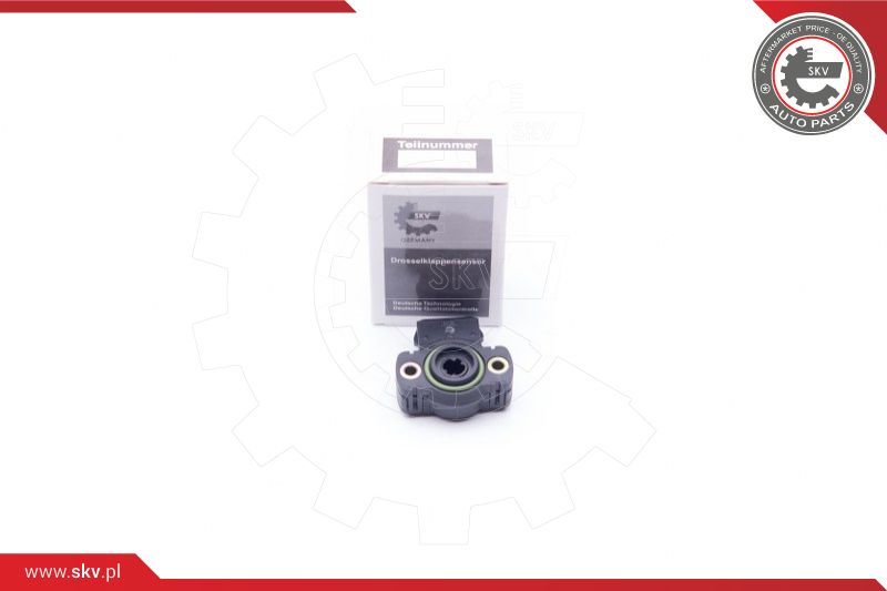 ESEN SKV Osjetnik, položaj leptiraste zaklopke