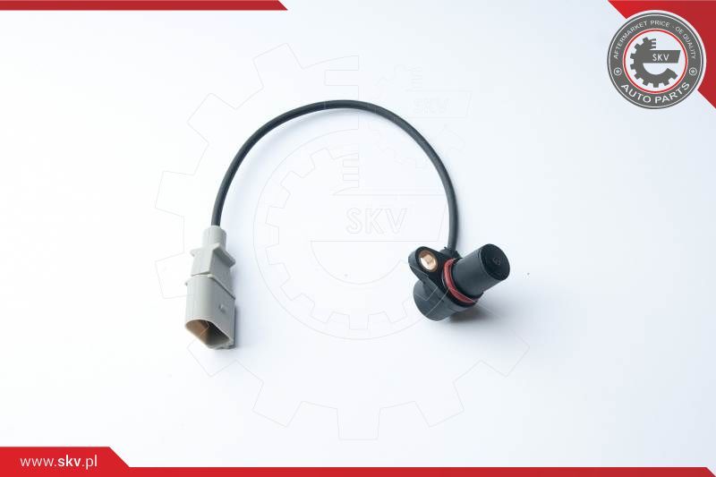 ESEN SKV Davač impulsa, radilica