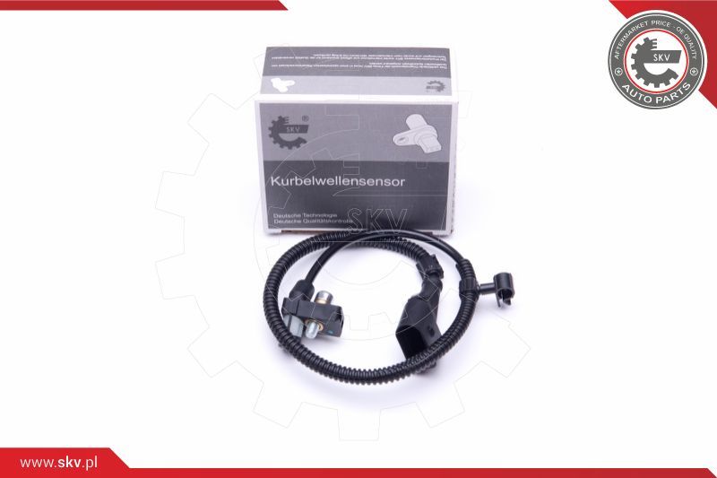 ESEN SKV Davač impulsa, radilica