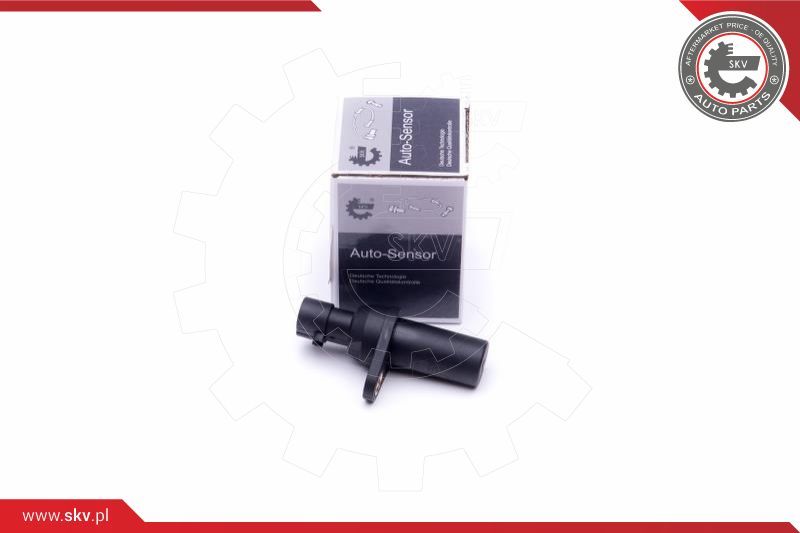 ESEN SKV Davač impulsa, radilica