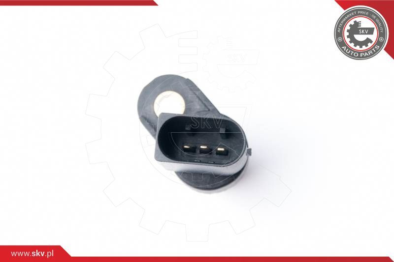 ESEN SKV Davač impulsa, radilica