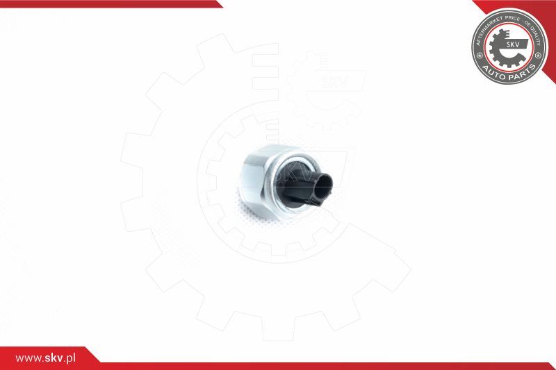 ESEN SKV Senzor kuckanja