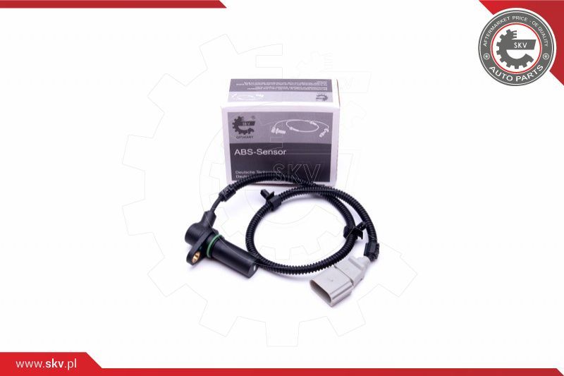 ESEN SKV Davač impulsa, radilica