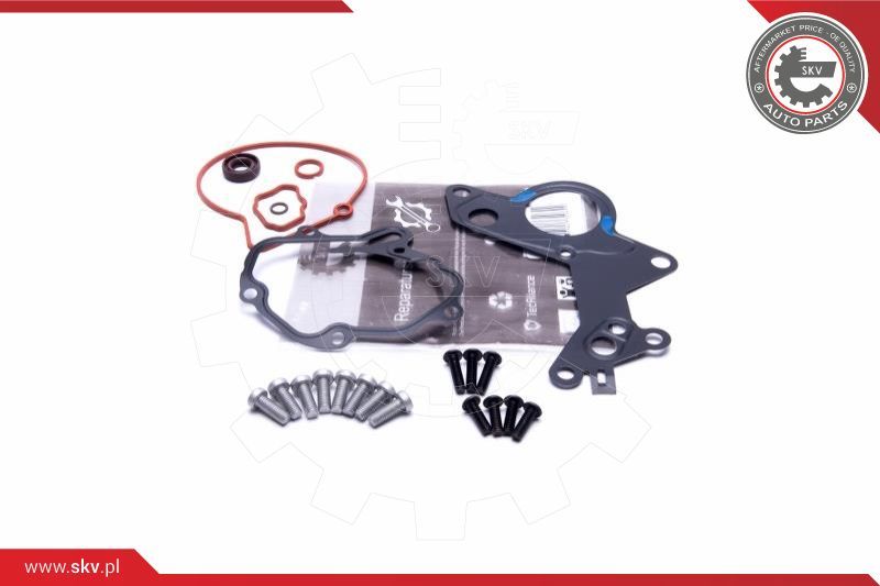 ESEN SKV Komplet za popravak, podtlačna pumpa (kočni sustav)