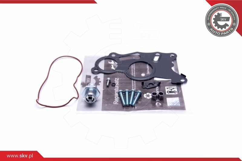 ESEN SKV Komplet za popravak, podtlačna pumpa (kočni sustav)