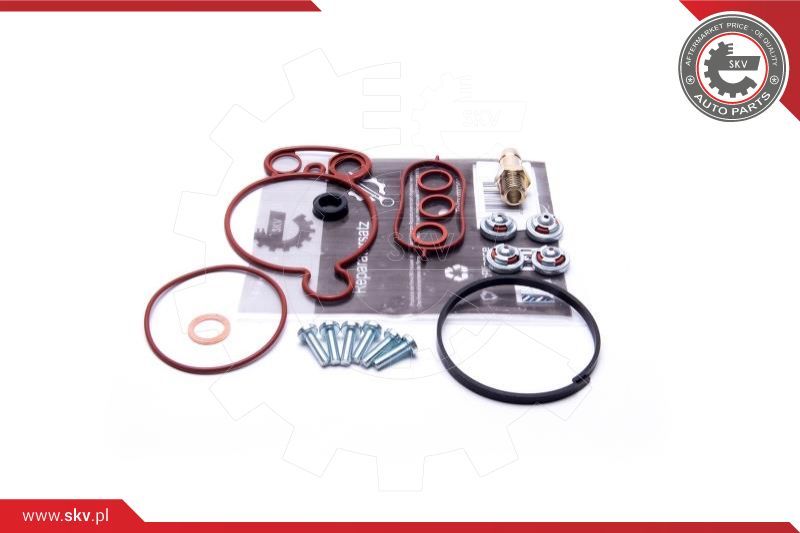 ESEN SKV Komplet za popravak, podtlačna pumpa (kočni sustav)