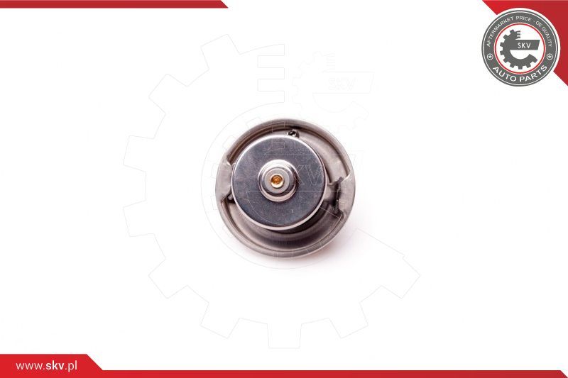 ESEN SKV Termostat, rashladno sredstvo