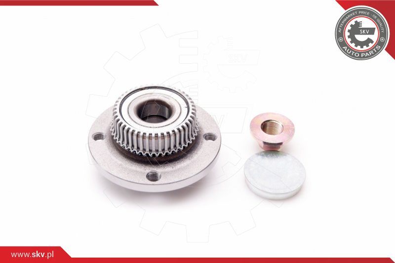 ESEN SKV Komplet ležaja kotača