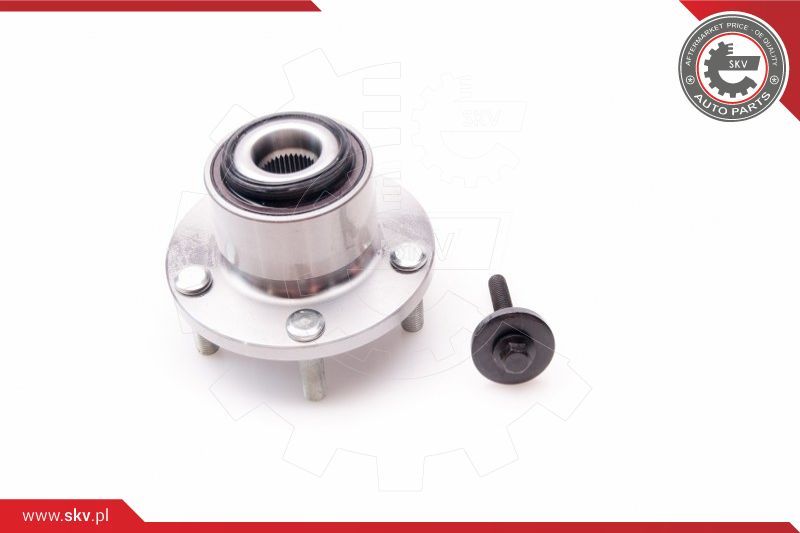 ESEN SKV Komplet ležaja kotača