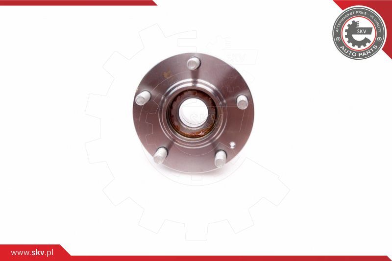 ESEN SKV Komplet ležaja kotača