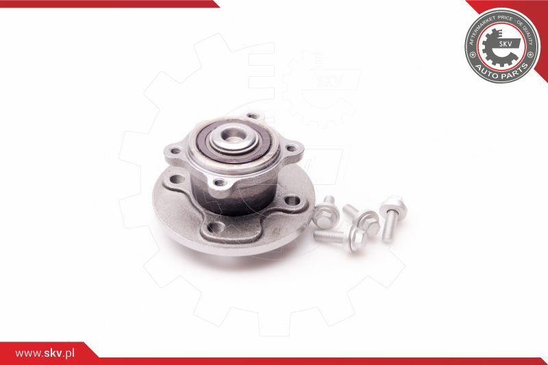 ESEN SKV Komplet ležaja kotača