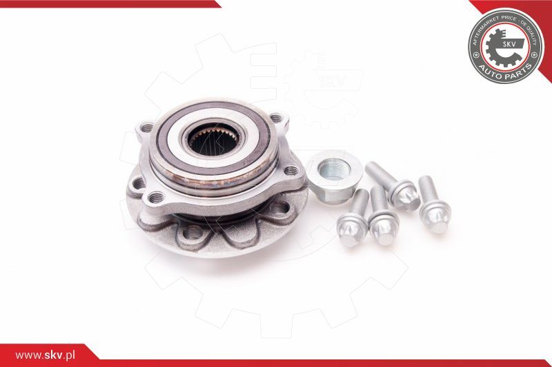 ESEN SKV Komplet ležaja kotača