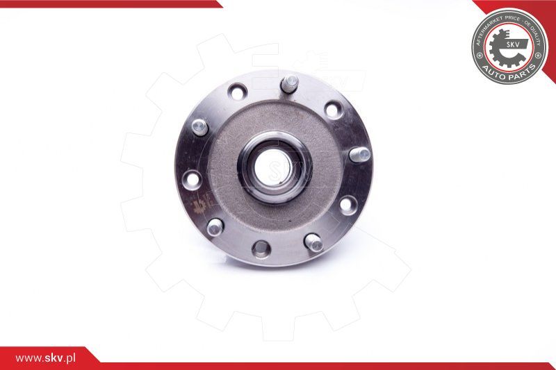 ESEN SKV Komplet ležaja kotača