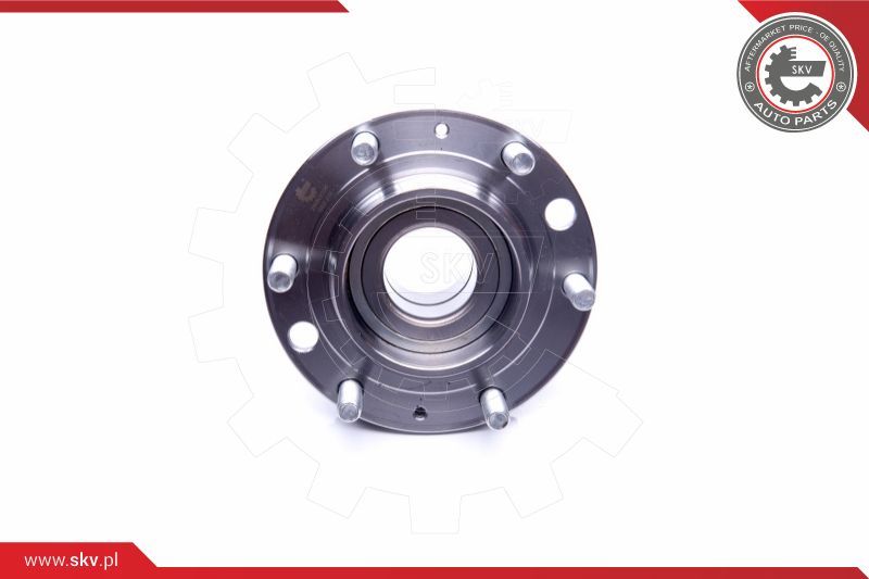 ESEN SKV Komplet ležaja kotača