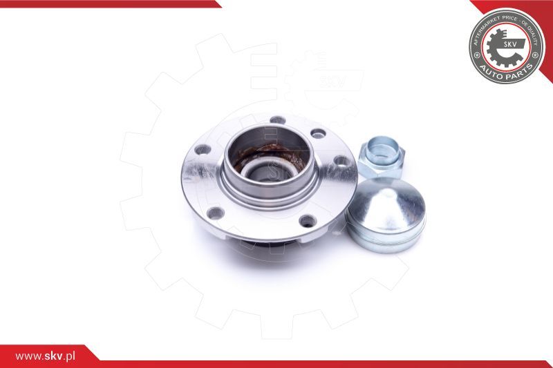 ESEN SKV Komplet ležaja kotača