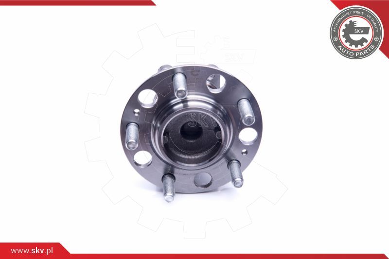 ESEN SKV Komplet ležaja kotača