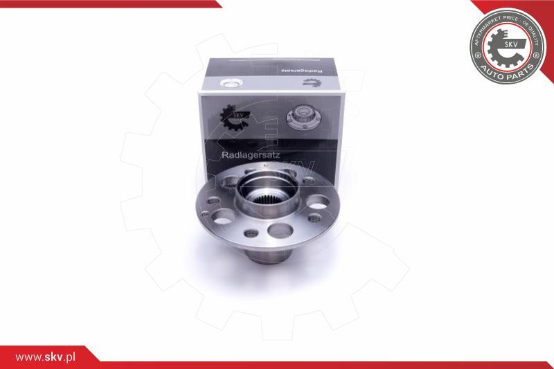 ESEN SKV Garnitura ležaja kotača