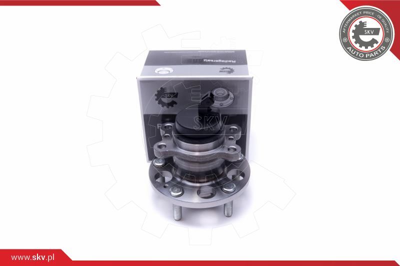 ESEN SKV Garnitura ležaja kotača