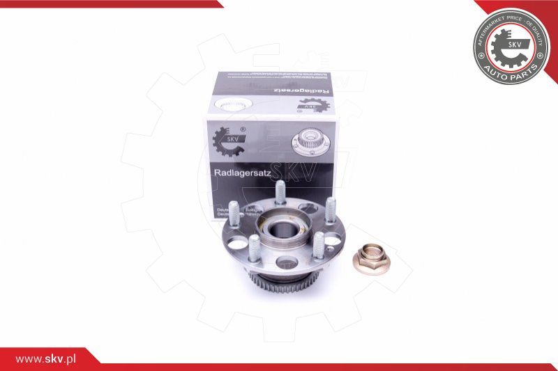 ESEN SKV Garnitura ležaja kotača