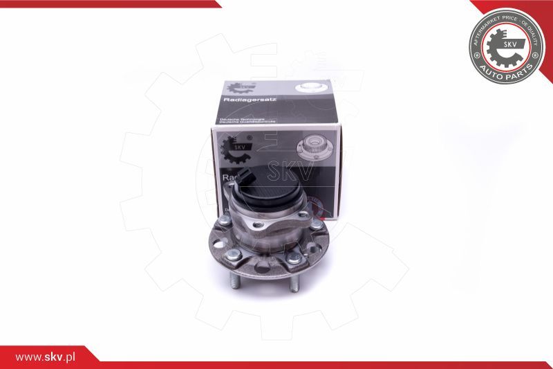 ESEN SKV Garnitura ležaja kotača