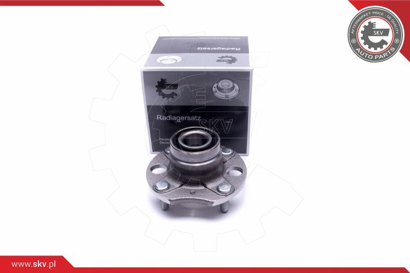 ESEN SKV Garnitura ležaja kotača