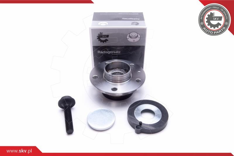 ESEN SKV Garnitura ležaja kotača
