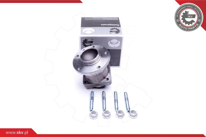 ESEN SKV Garnitura ležaja kotača