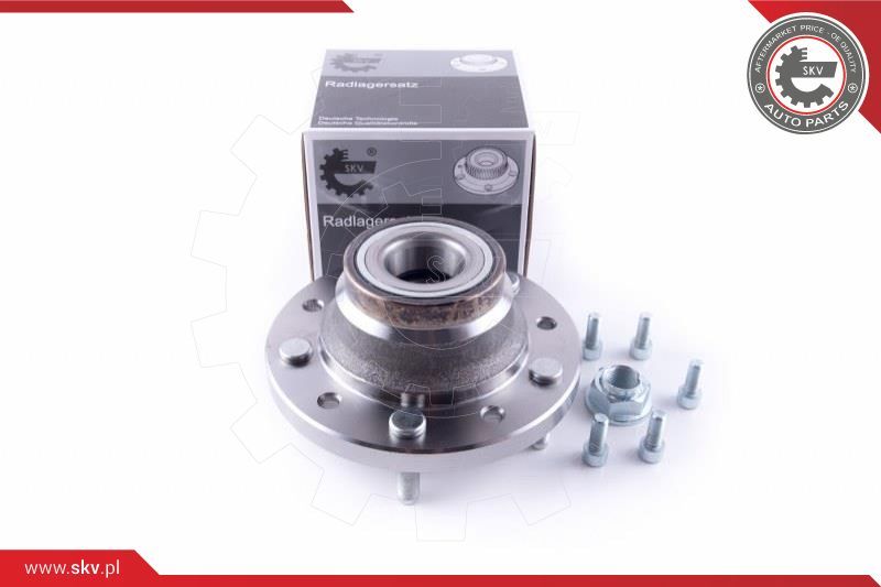 ESEN SKV Garnitura ležaja kotača
