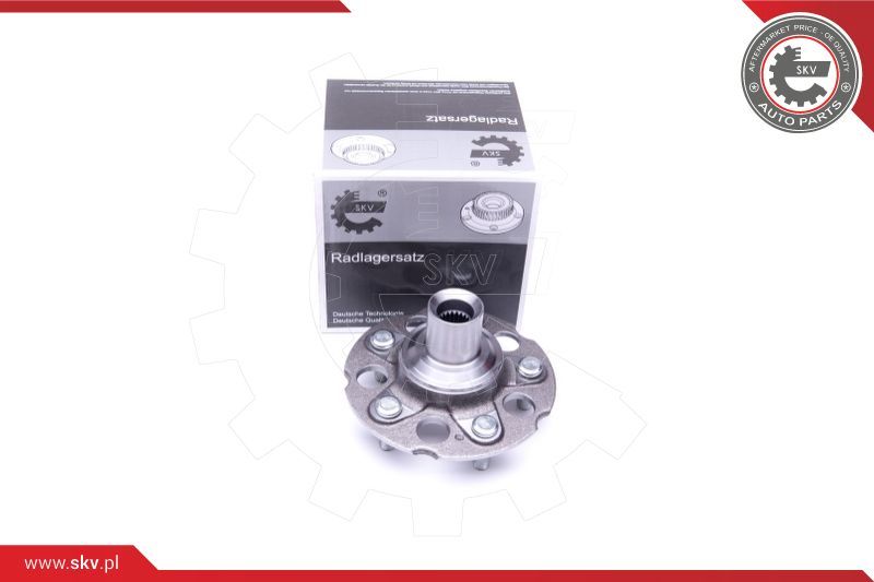 ESEN SKV Garnitura ležaja kotača