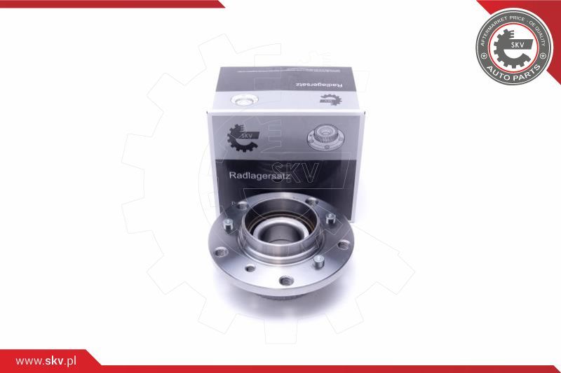 ESEN SKV Garnitura ležaja kotača