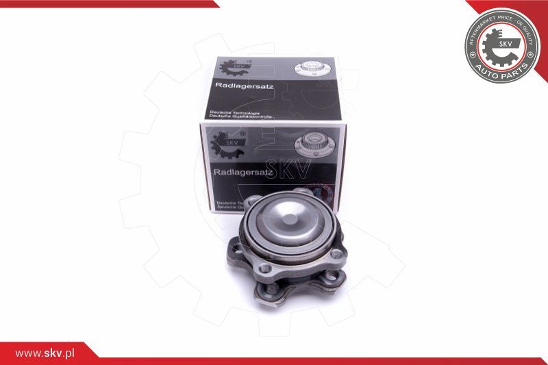 ESEN SKV Garnitura ležaja kotača