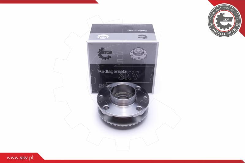 ESEN SKV Garnitura ležaja kotača