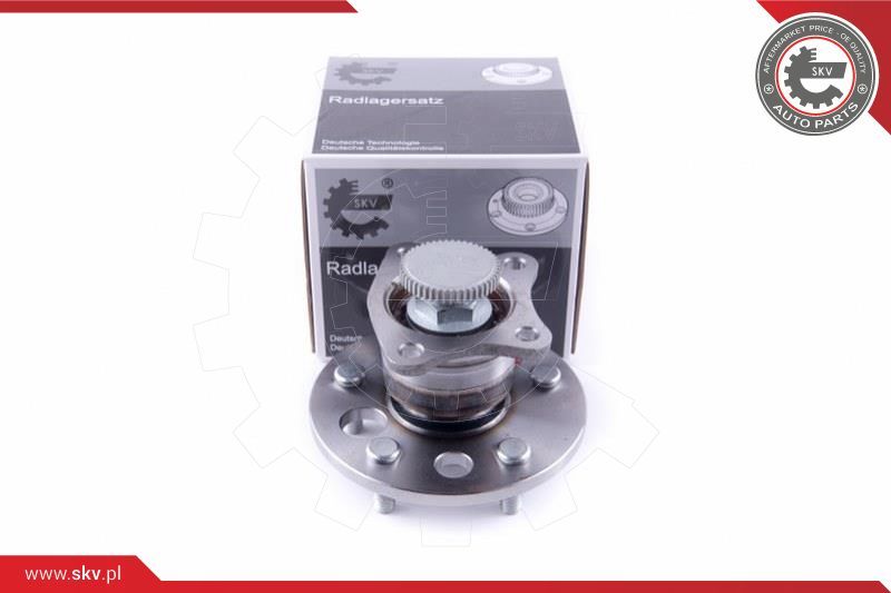 ESEN SKV Garnitura ležaja kotača