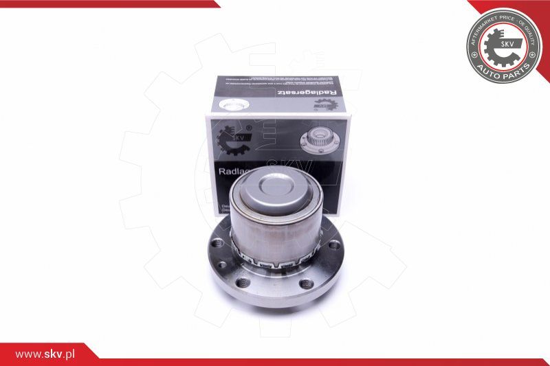 ESEN SKV Garnitura ležaja kotača